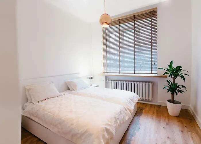 アパート Islandijos Gatve ヴィリニュス